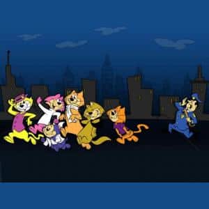 don-gato