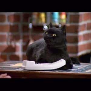 salem