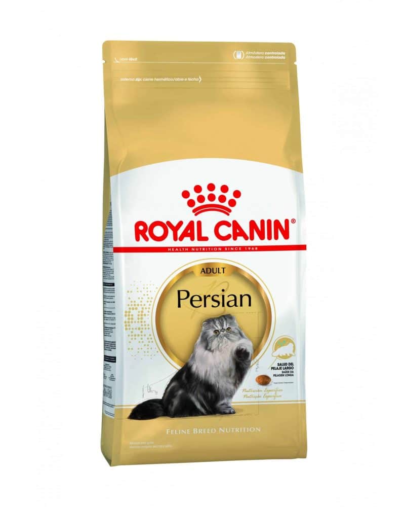 AR-L-Producto-Persian-Feline-Breed-Nutrition-Seco-scaled-1.jpg