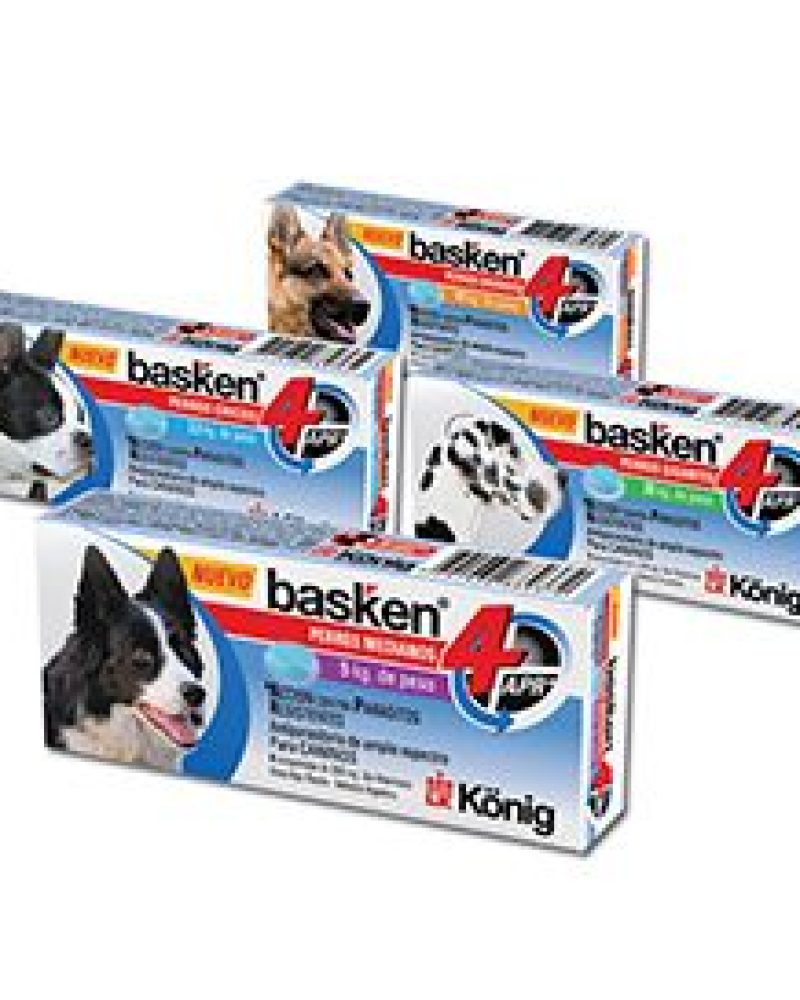 BASKEN-APR.jpg