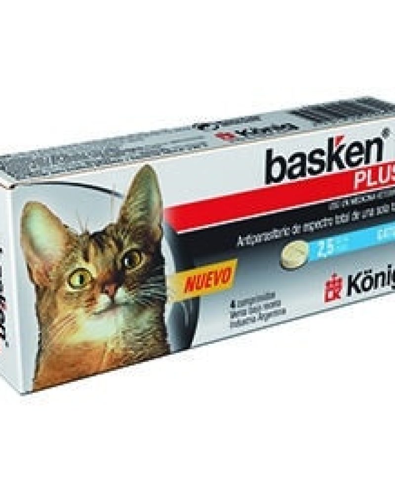 BASKEN-PLUS-GATOS.jpg