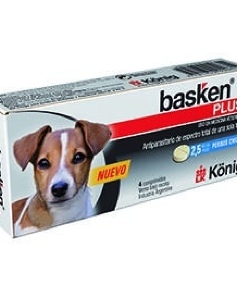 BASKEN-PLUS-PERRO-CHICO.jpg