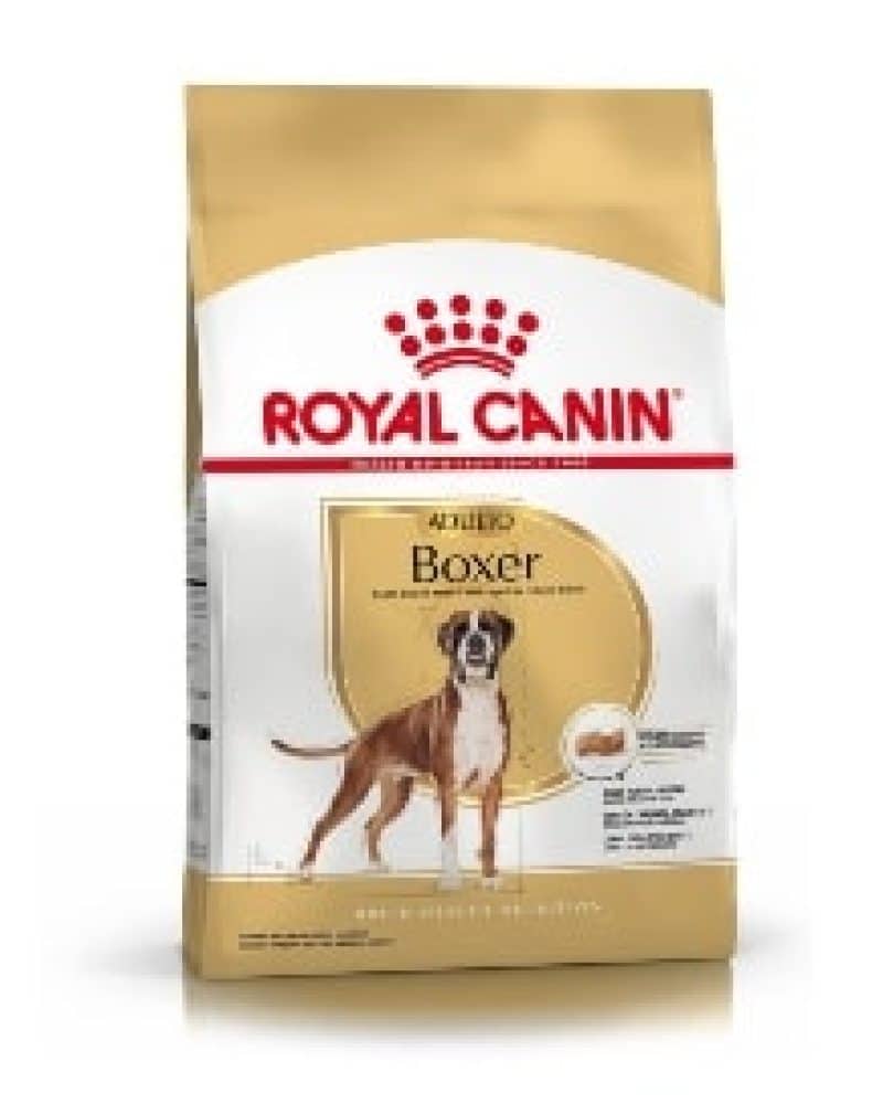 BOXER ADULTO
