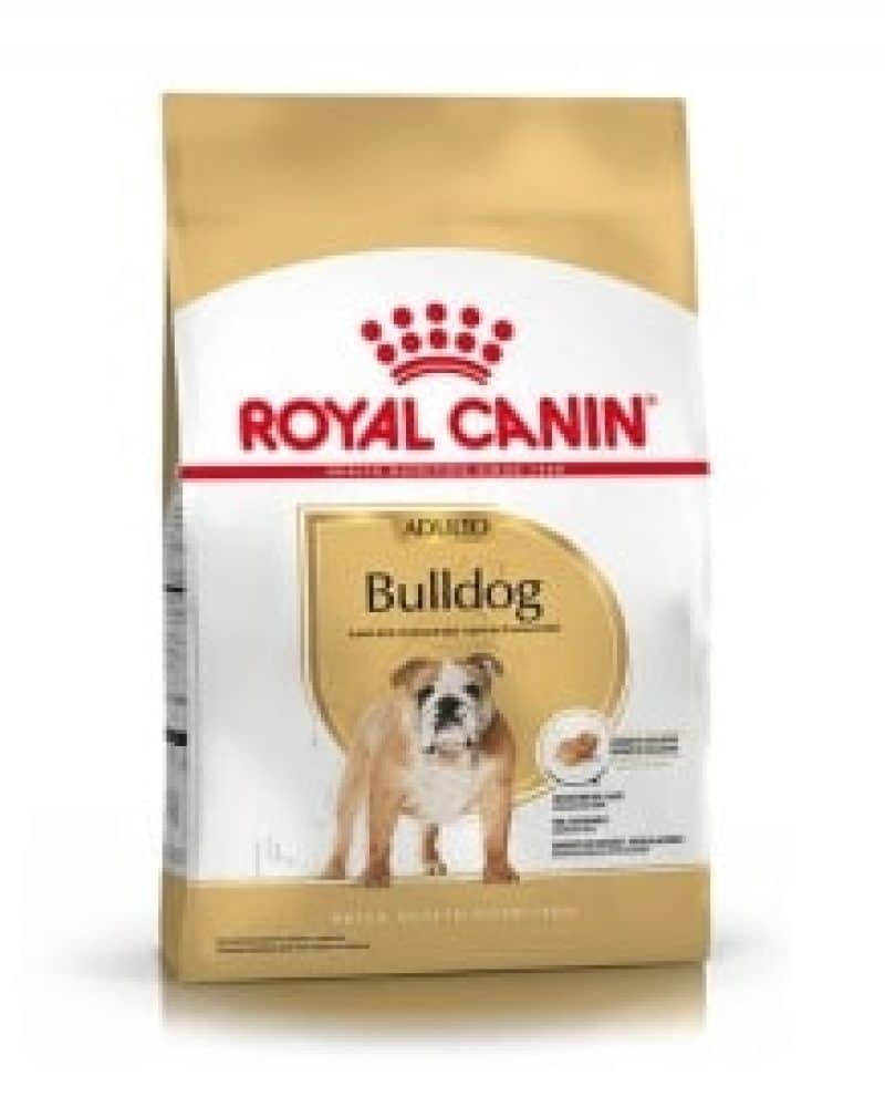BULLDOG ADULTO