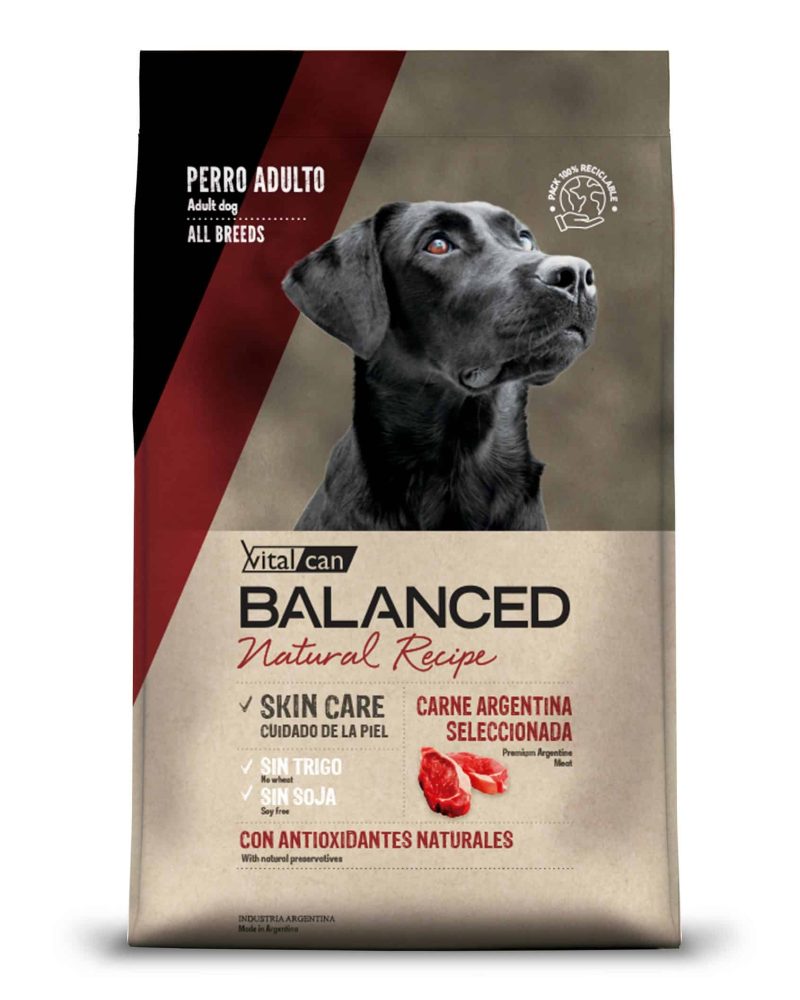 Balanced Perro Carne Frente