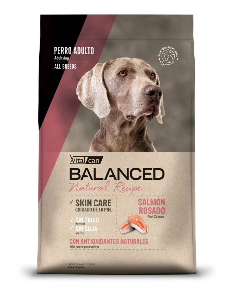 Balanced Perro Samon Frente