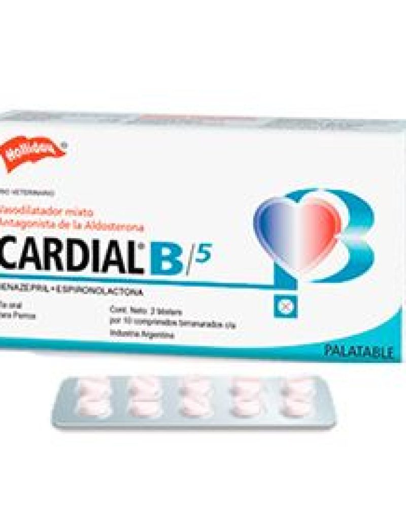 CARDIAL-B5.jpg