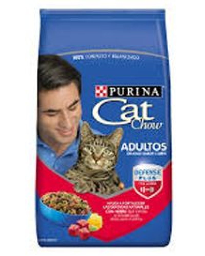 CAT-CHOW-ADULTOS-DELICIAS-SABOR-CARNE.jpg