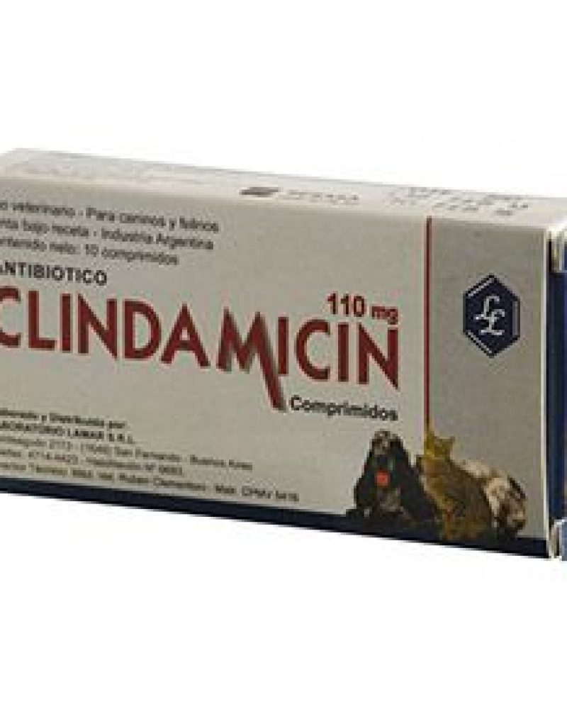 CLINDAMICIN-110.jpg