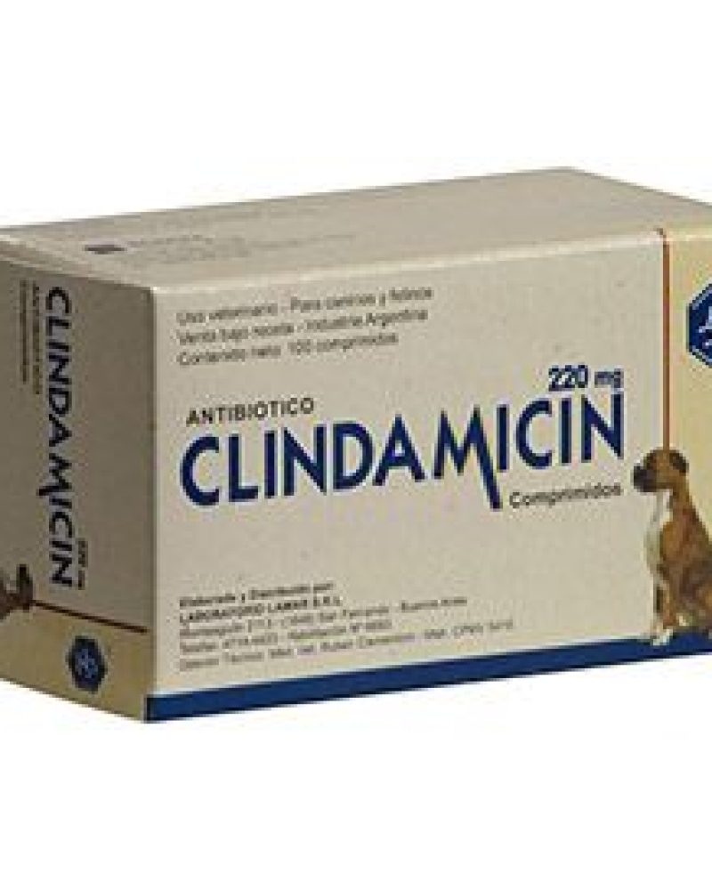 CLINDAMICIN-220-MG.jpg