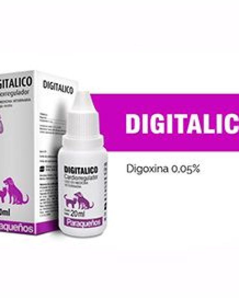 DIGITALICO.jpg