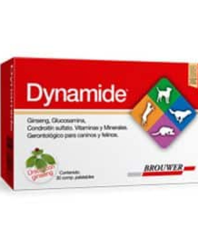 DYNAMIDE.jpg