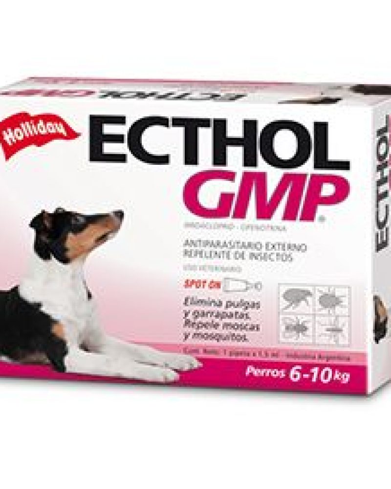ECTHOL-GMP-6-A-10.jpg