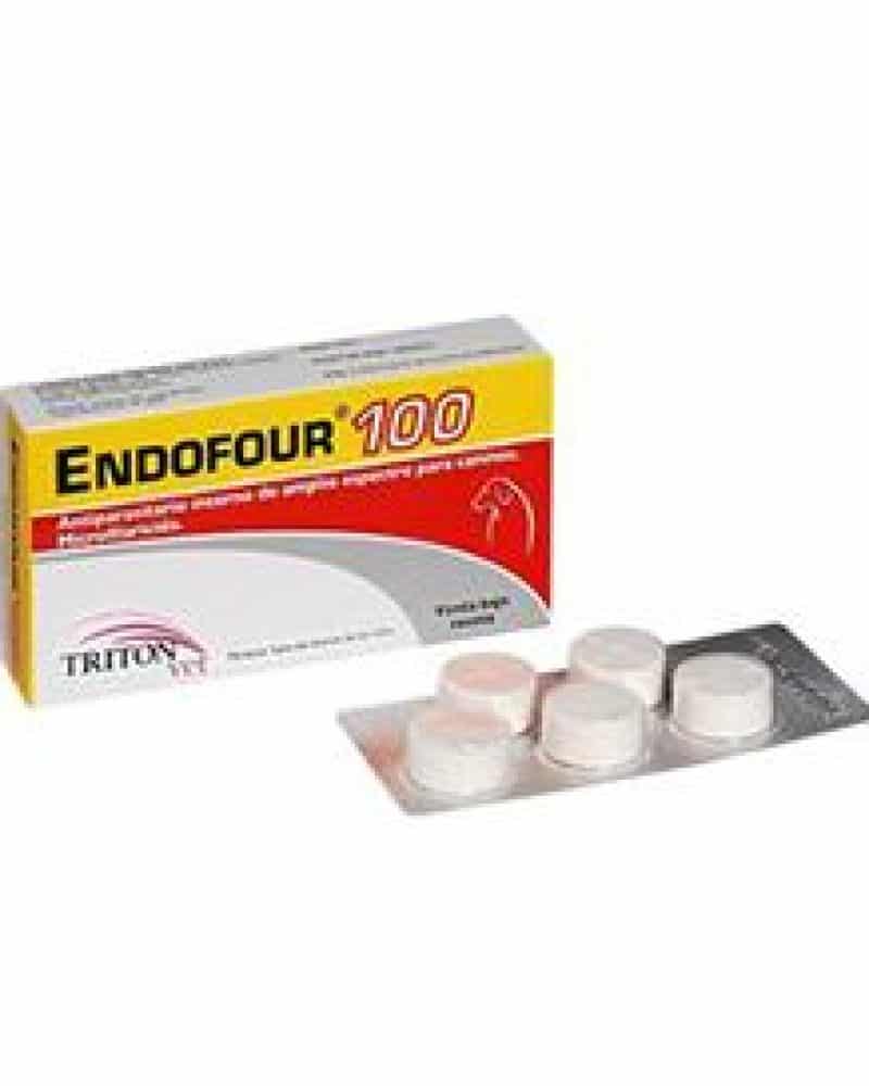 ENDOFOUR-100.jpg