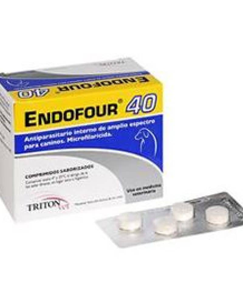 ENDOFOUR-40.jpg