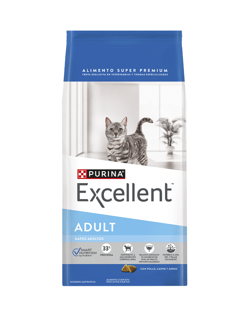 Excellent_Gatos_Adult