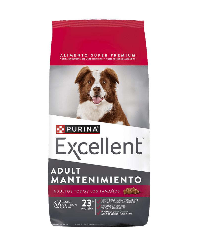 Excellent_Perros_AdultMantenimiento