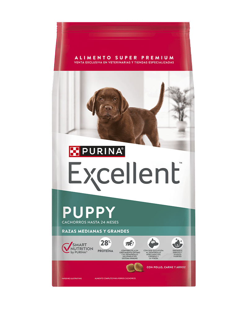Excellent_Perros_PuppyMedyGran