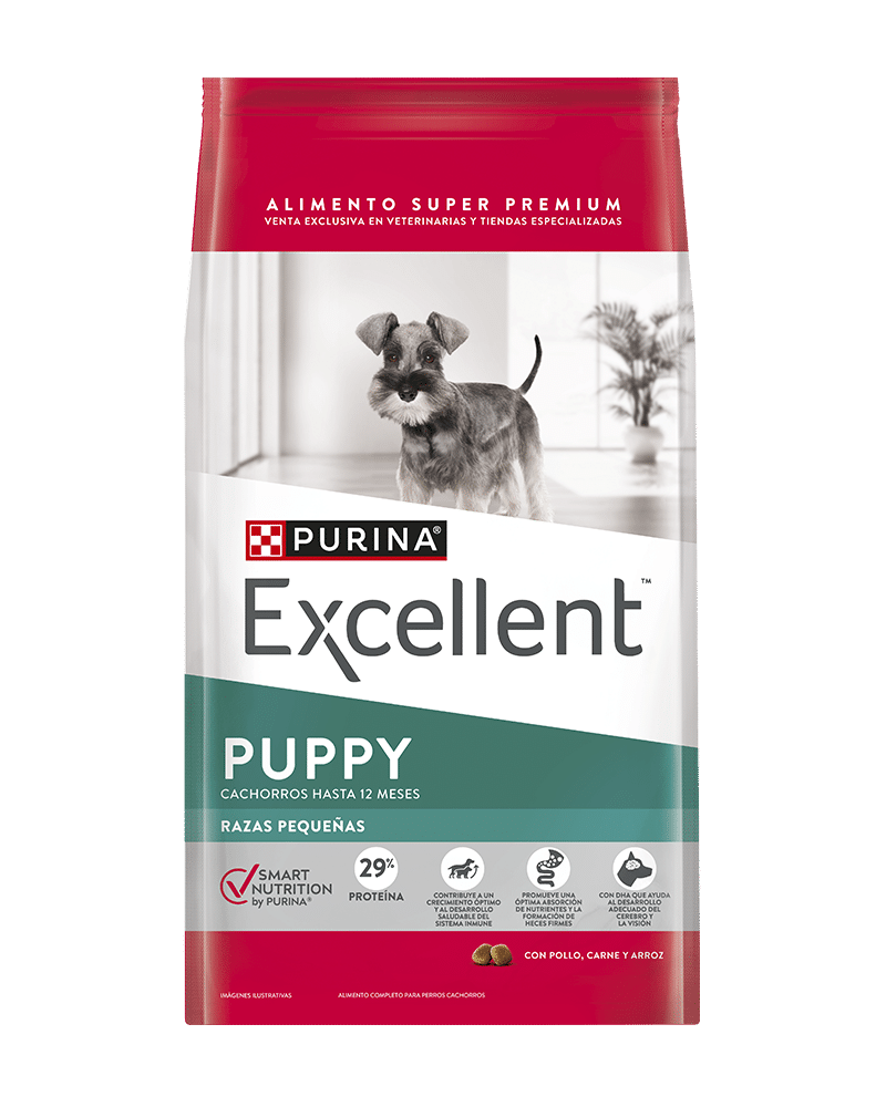 Excellent_Perros_PuppyPequenos