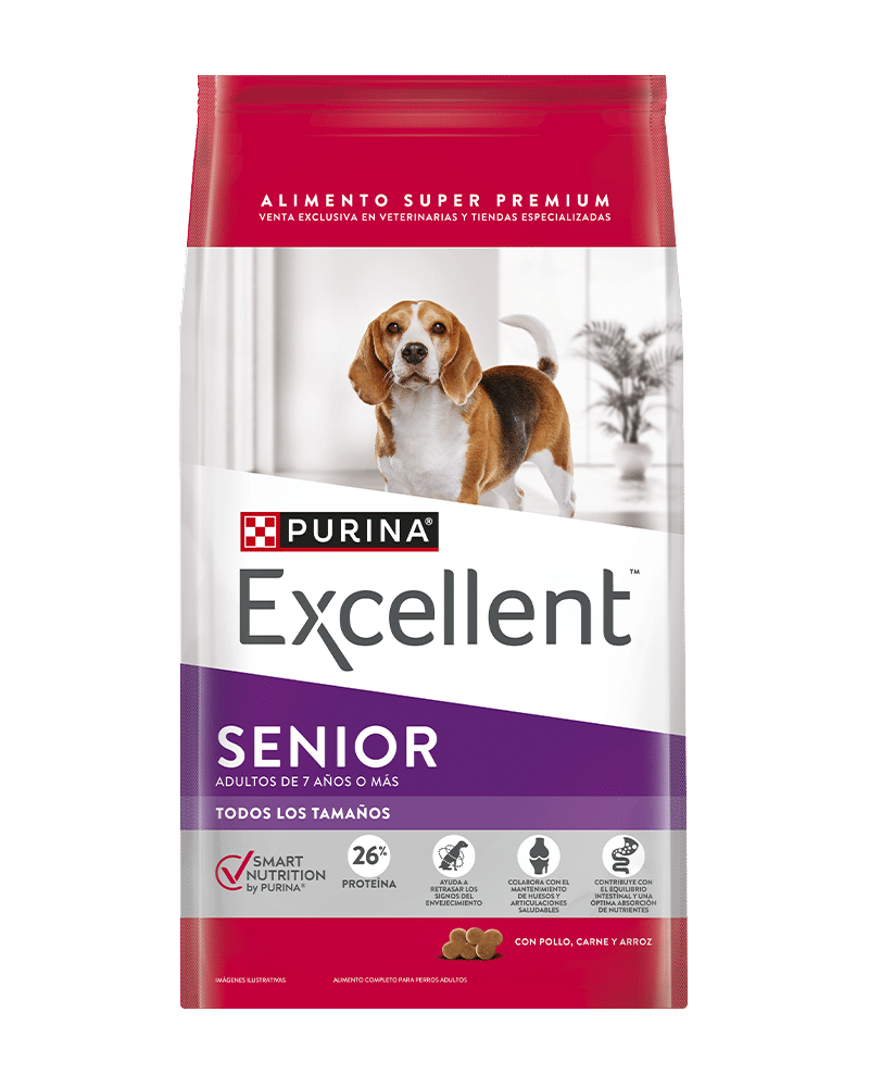 Excellent_Perros_Senior