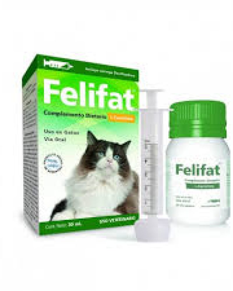 FELIFAT-1.jpg