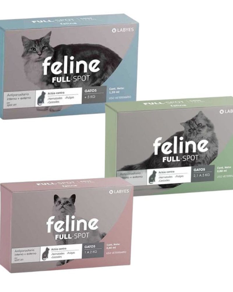 FELINEFULLSPOT-1.jpg