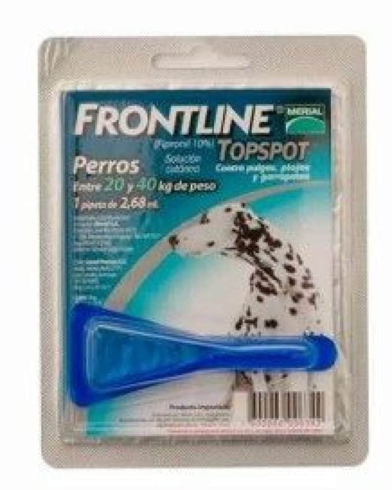 FRONTLINE-20-40-WEB.jpg