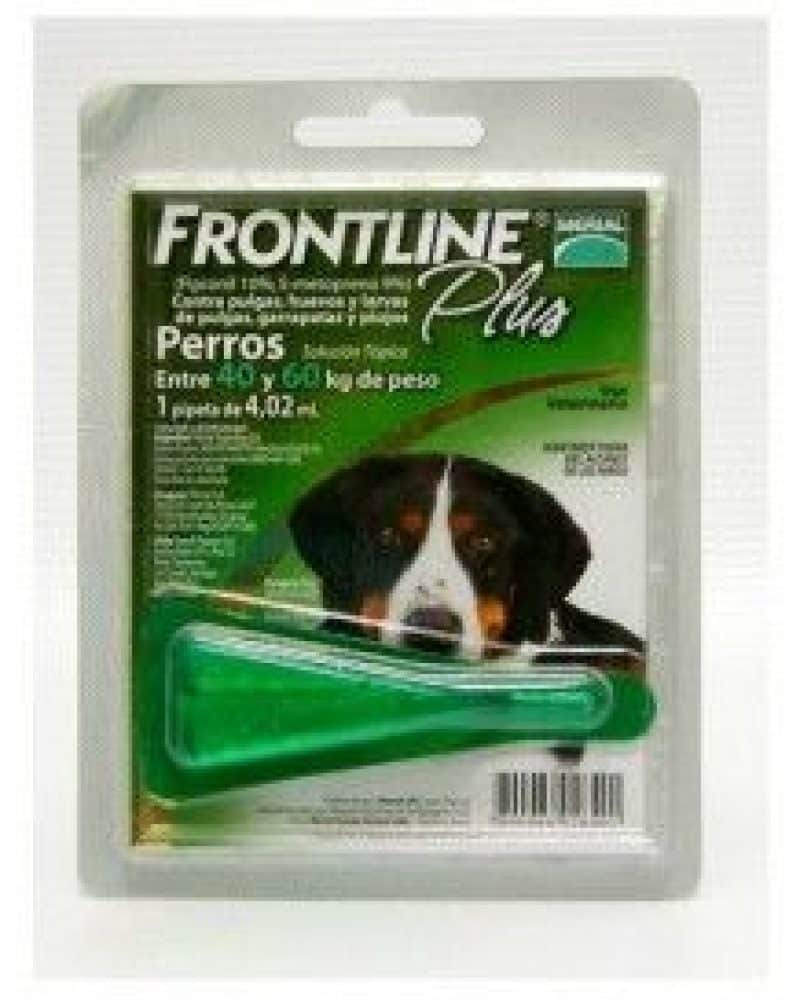 FRONTLINE-40-60-WEB-PLUS.jpg