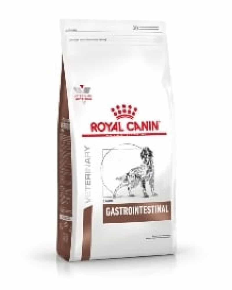 GASTRO ADULTO