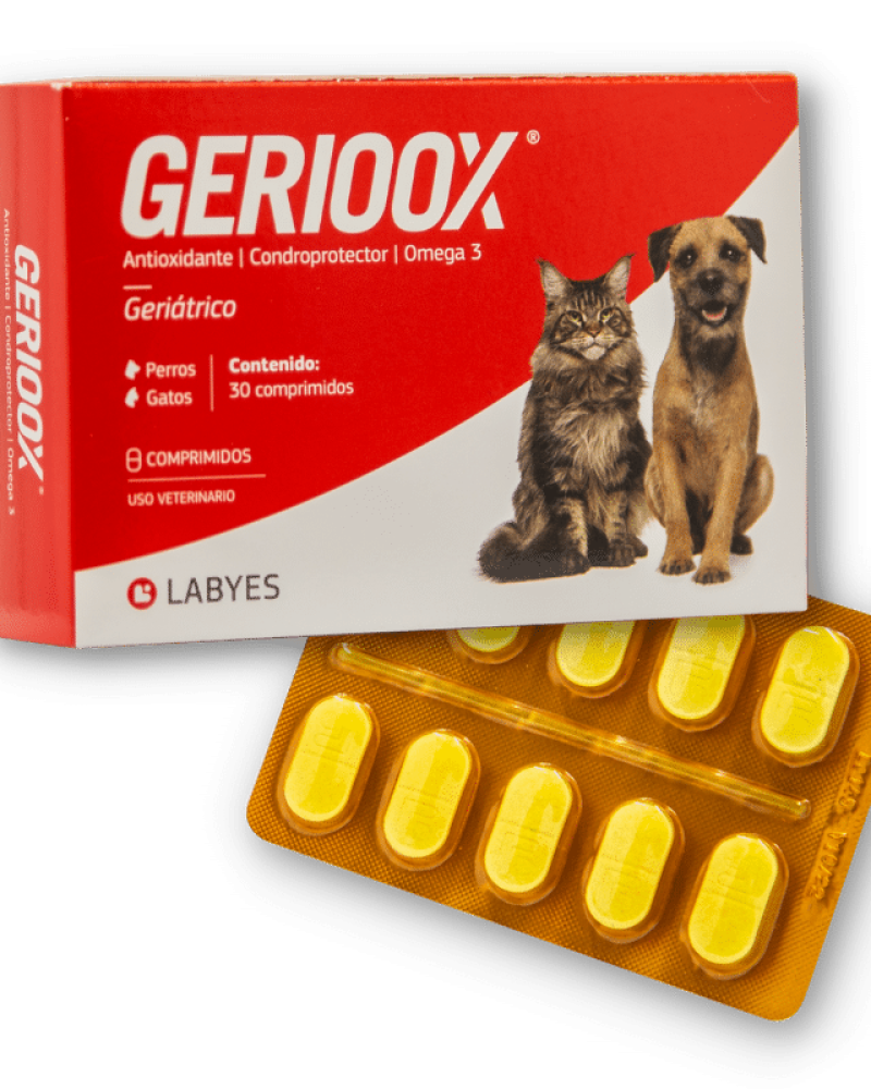 GERIOOX30COMP-1.png