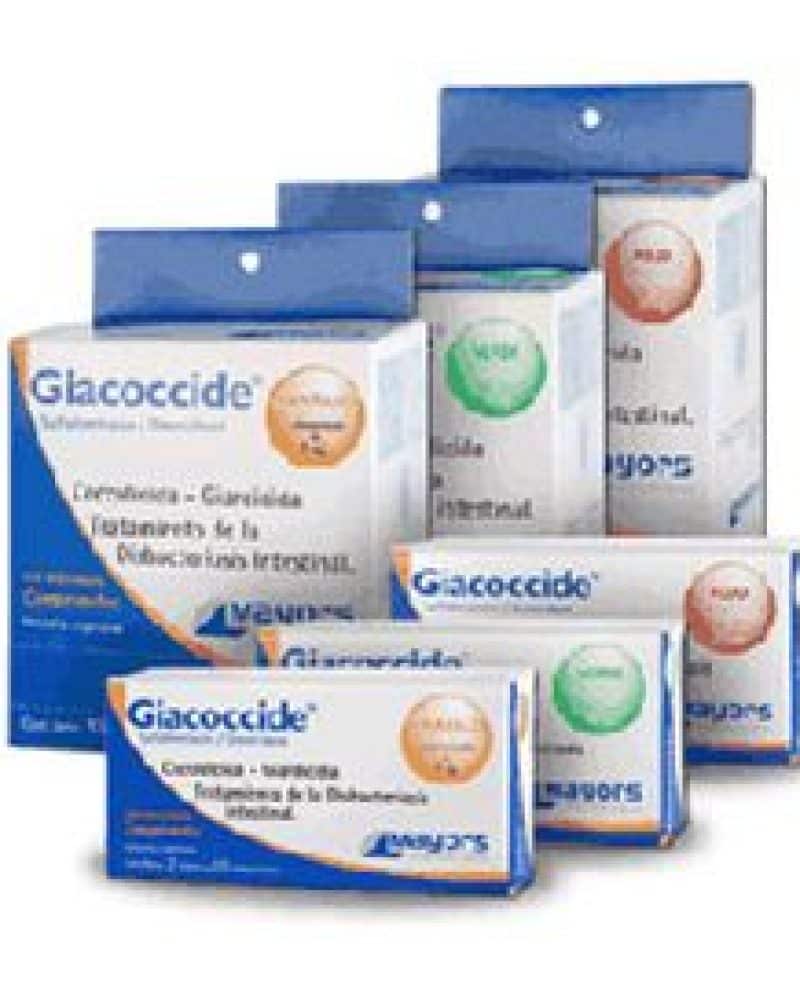 GIACOCCIDE.jpg
