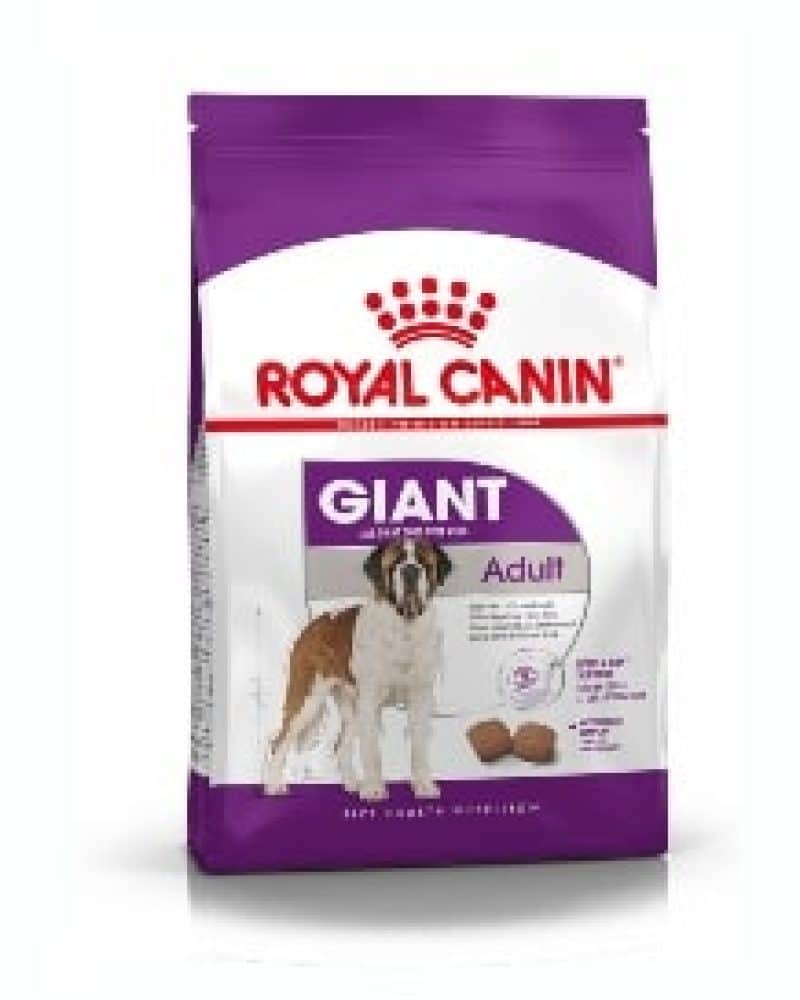 GIANT ADULT