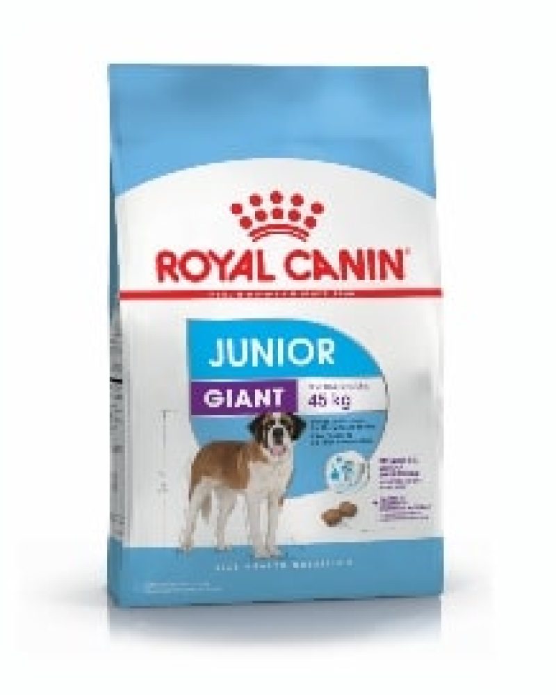 GIANT JUNIOR