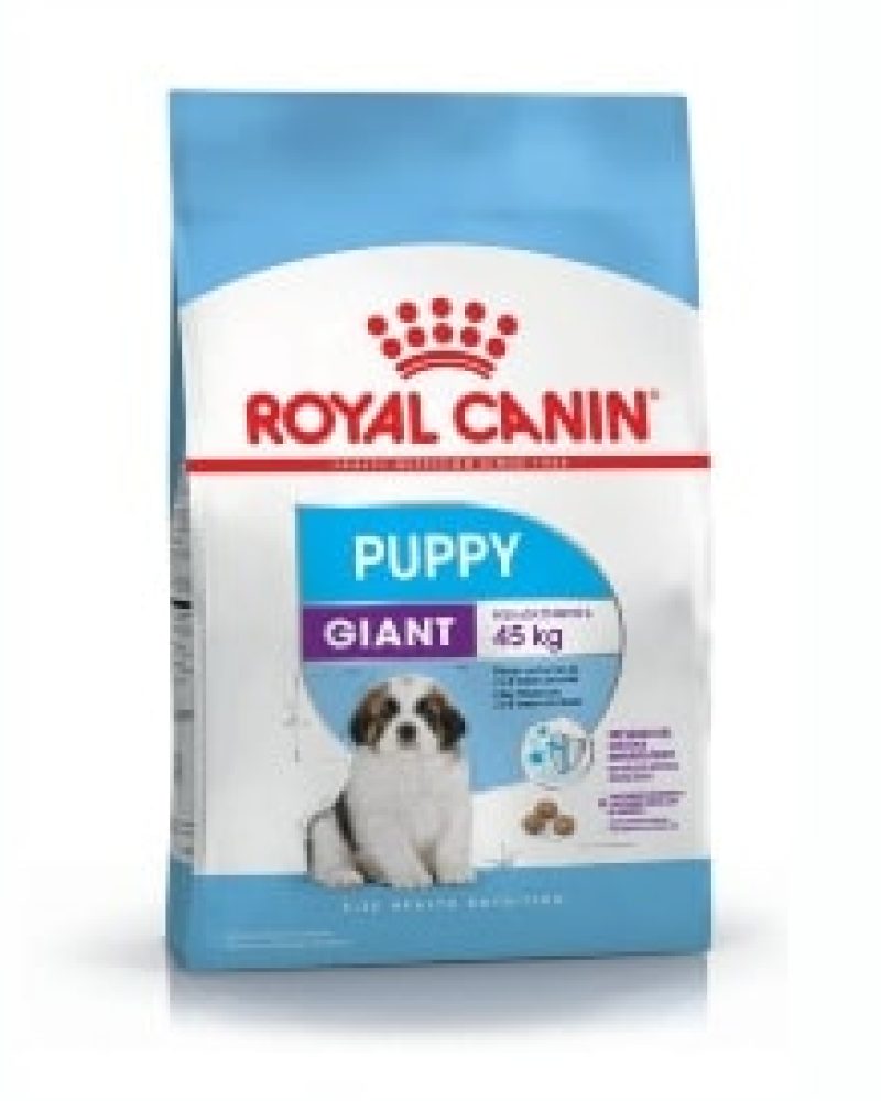 GIANT PUPPY