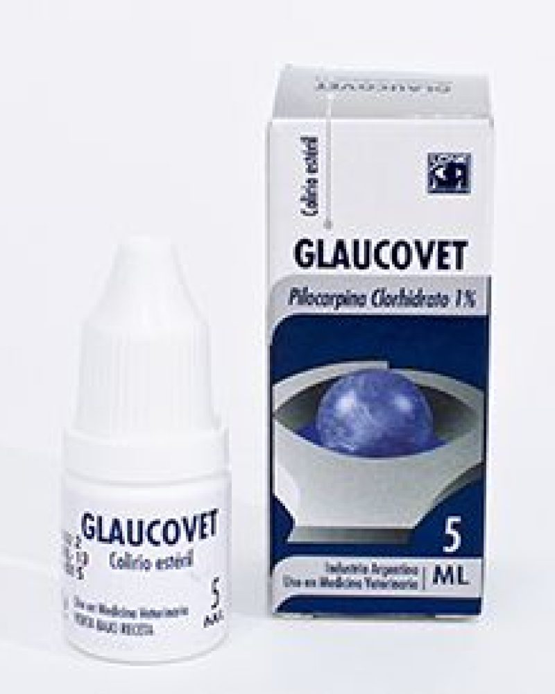 GLAUCOVET.jpg