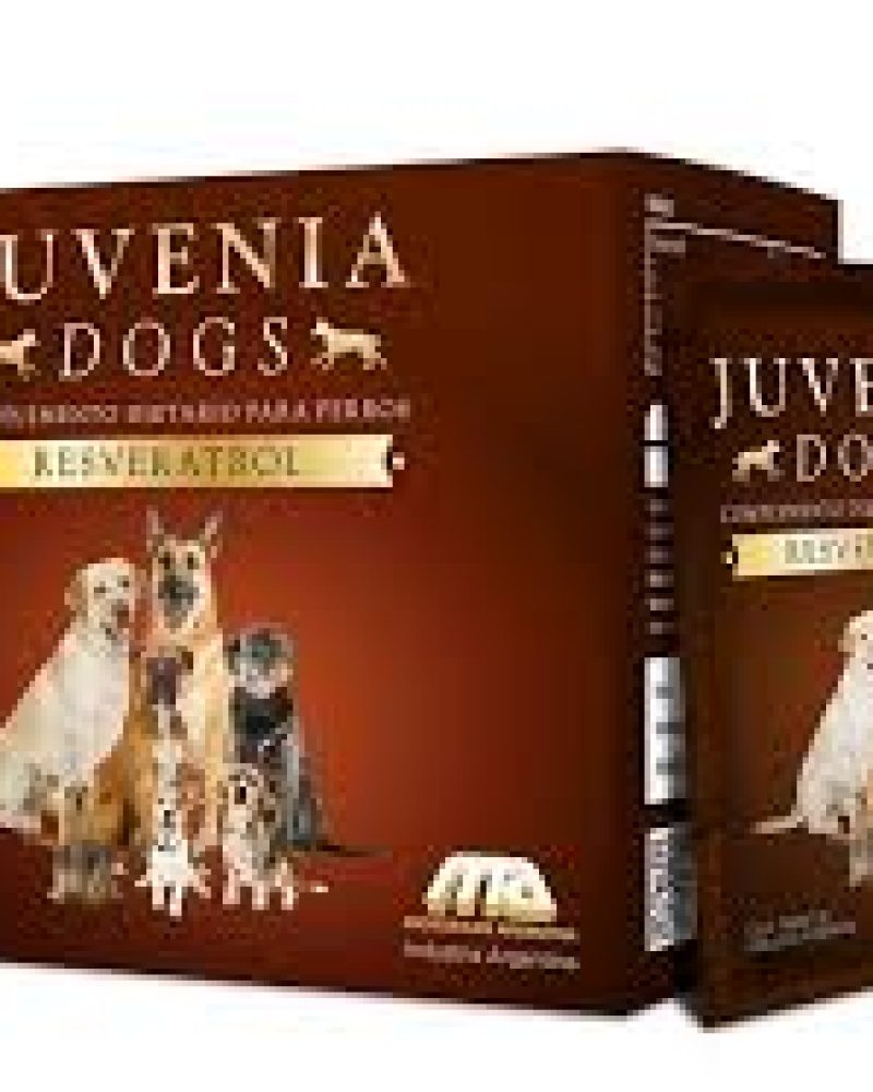 JUVENIA-DOGS.jpg