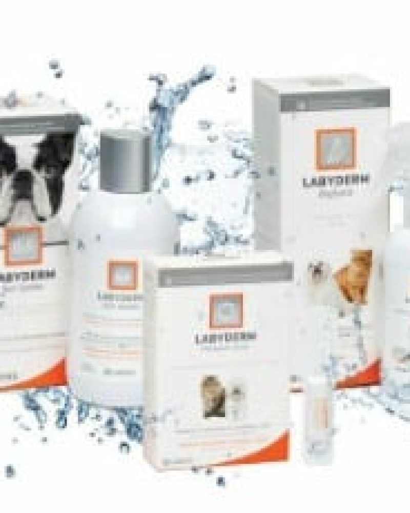 KITLABYDERM2-WEB.jpg