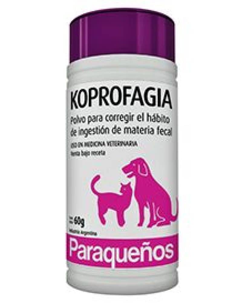 KOPROFAGIA.jpg