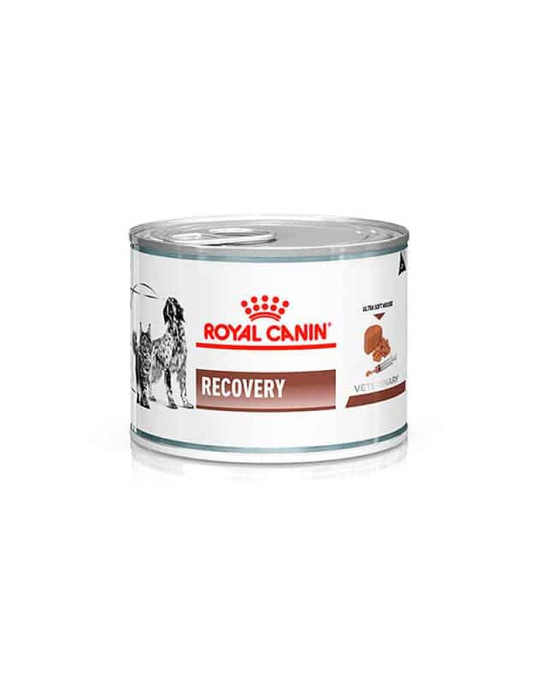 Lata-Royal-Canin-Recovery-Perro-y-Gato-800