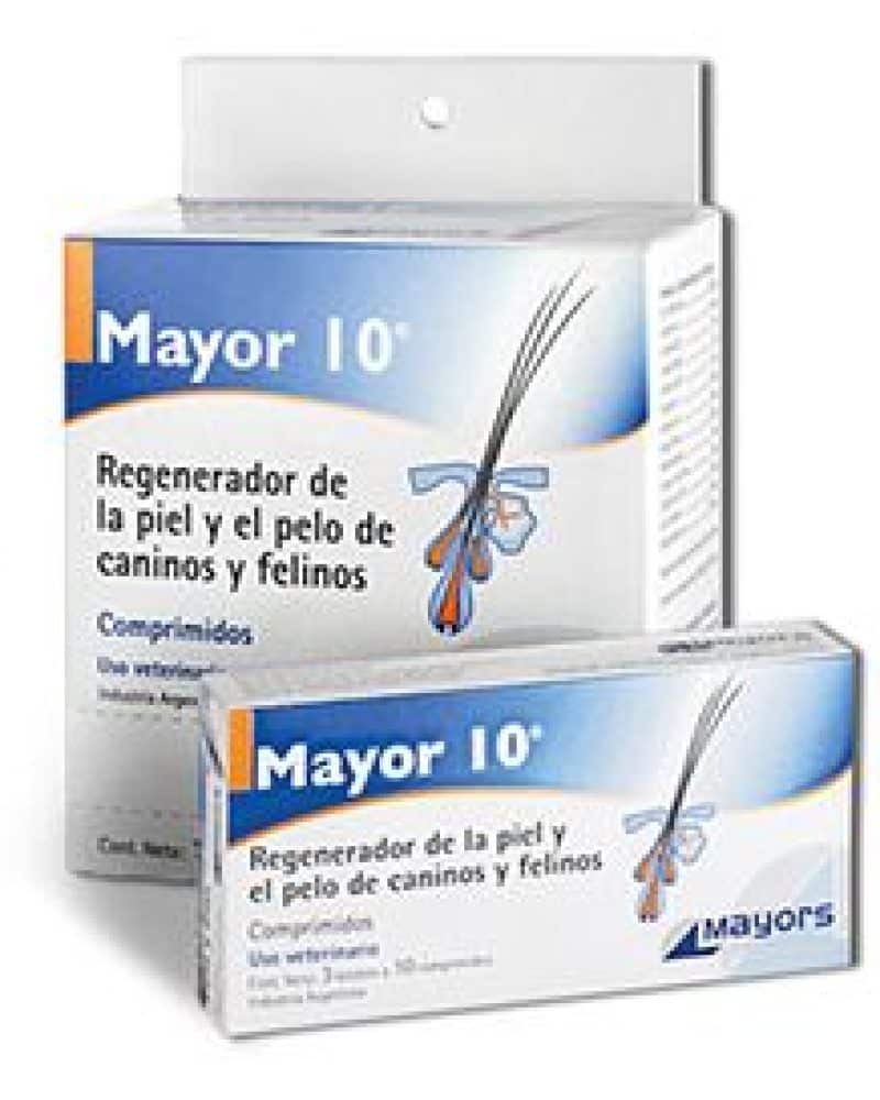 MAYOR-10.jpg