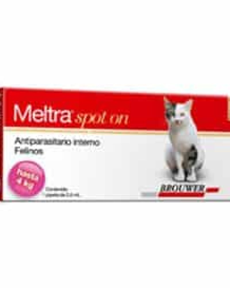 MELTRA-SPOT-ON-GATO-CHICO.jpg