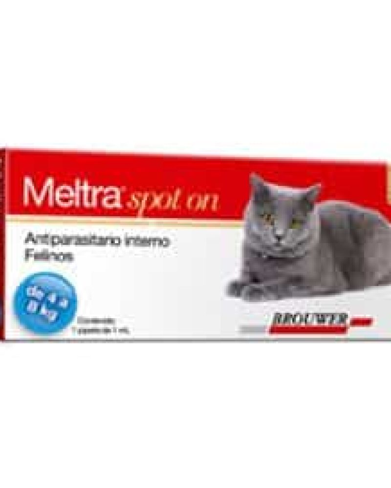 MELTRA-SPOT-ON-GATO-GRANDE.jpg