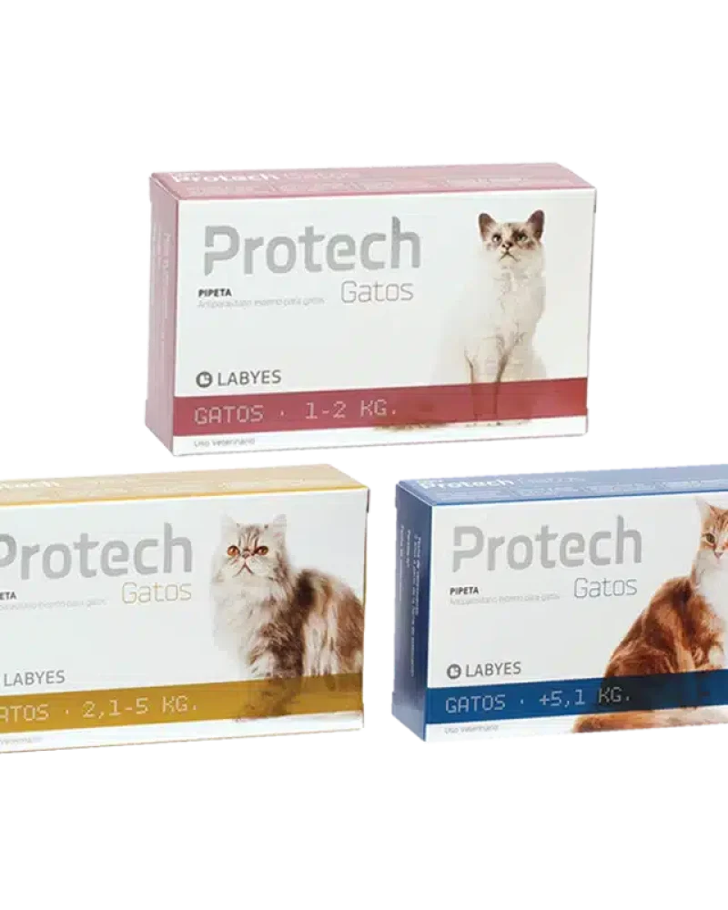 PIPETAPROTECHGATO-1.webp