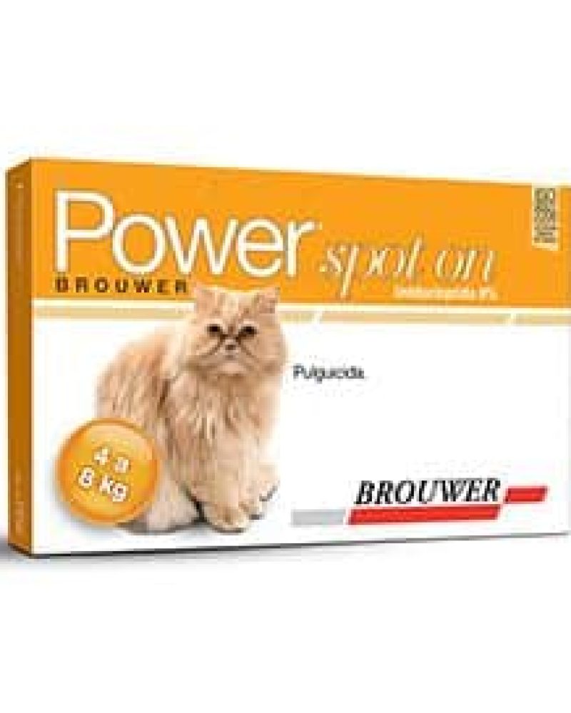 POWER-GATO-4-A-8.jpg