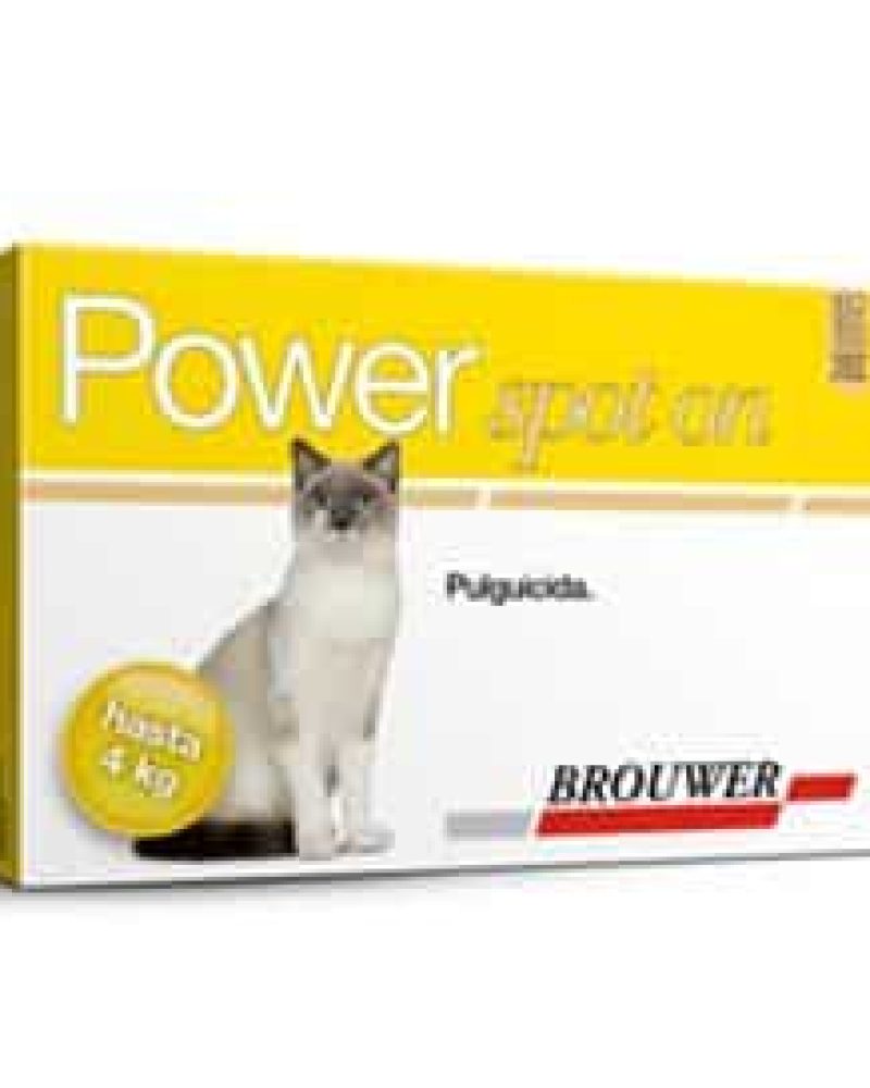 POWER-GATOS-HASTA-4-KG.jpg