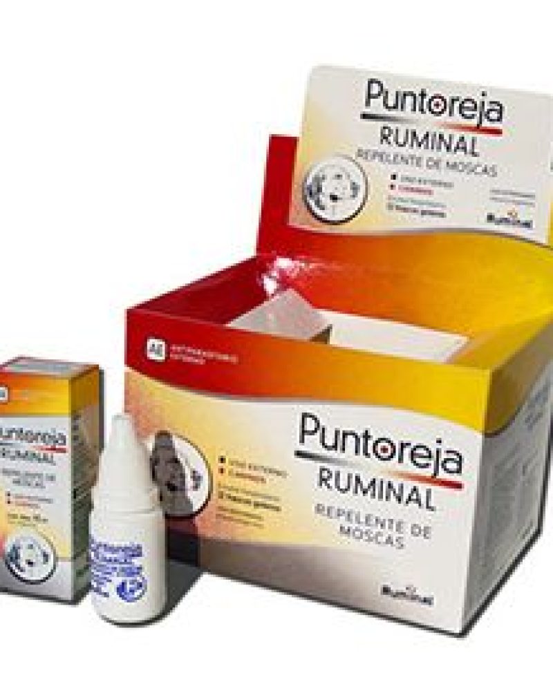 PUNTA-OREJA.jpg