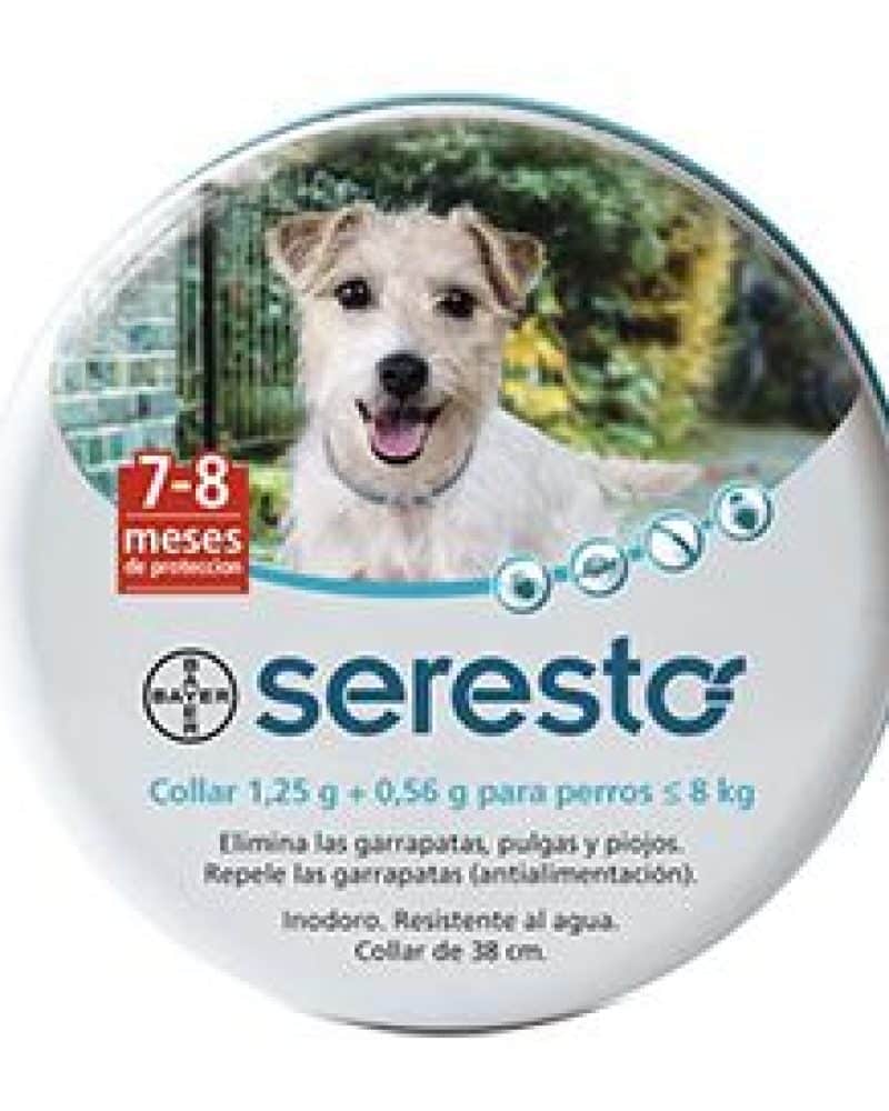 SERECTO-PERROS-CHICOS.jpg