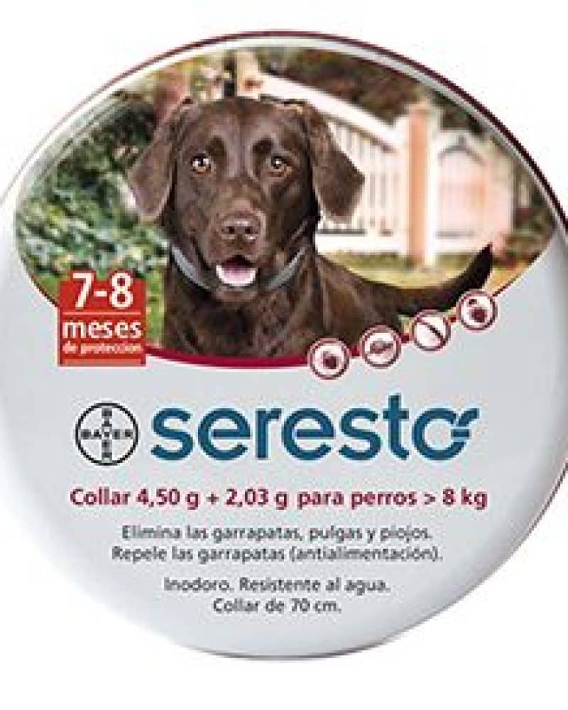 SERECTO-PERROS-GRANDES-copia.jpg