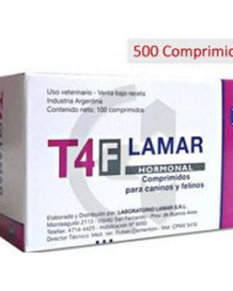 T4-F.jpg