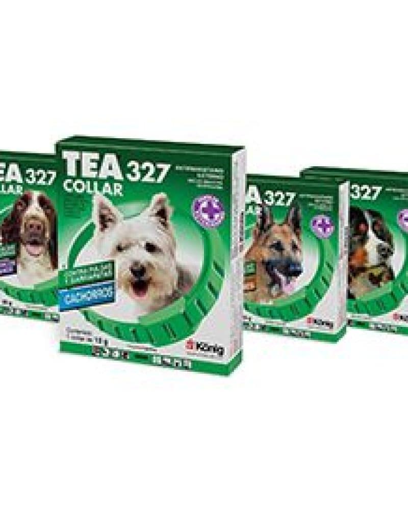 TEA-327-COLLAR-PERRO.jpg